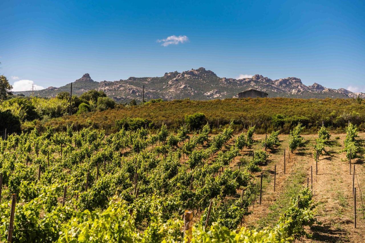 Locanda In Vigna Arzachena Exteriér fotografie