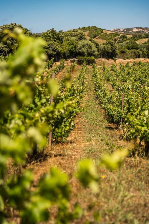 Locanda In Vigna Arzachena Exteriér fotografie