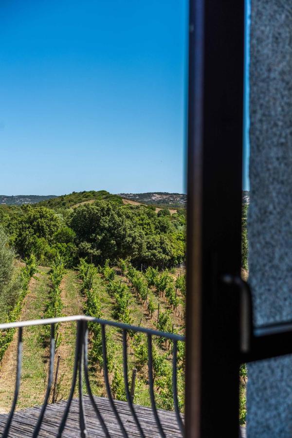 Locanda In Vigna Arzachena Exteriér fotografie