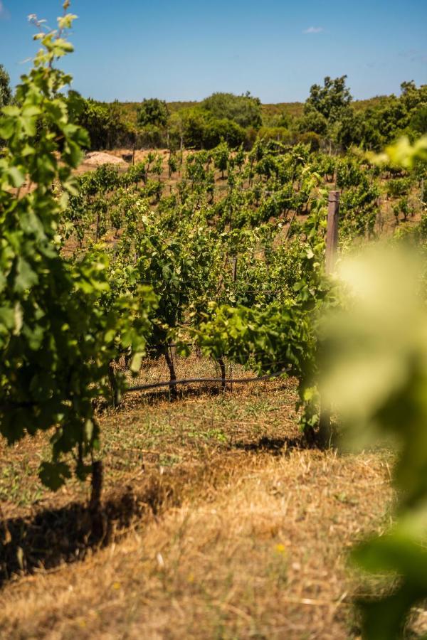 Locanda In Vigna Arzachena Exteriér fotografie