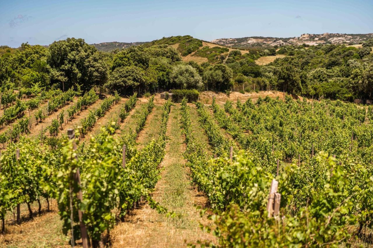 Locanda In Vigna Arzachena Exteriér fotografie
